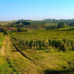 Camping Kanopée Village  - Camping Ain