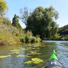 Camping Kanopée Village  - Camping Ain