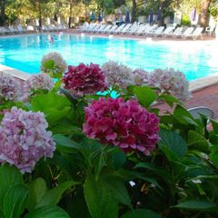 Camping Punta Navaccia  - Camping Pérouse