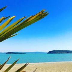 Camping Punta Navaccia  - Camping Pérouse