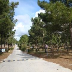 Camping Sitava Milfontes - Camping Alentejo - Portugal