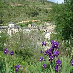 Camping Le Terrados - Camping Lozere