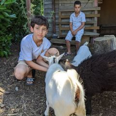 Camping Côté Lac - Camping Deux-Sevres