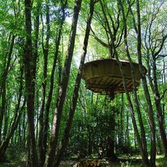 Camping Parc de la Belle - Camping Vienne