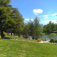 Camping Le Lac De Thesauque - Camping Haute-Garonne