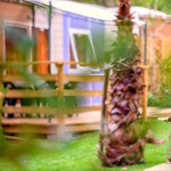 Camping Delle Rose - Camping Imperia