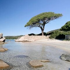 Camping Pezza Cardo - Camping Corsica del Sud