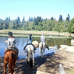 Camping Le Plo - Camping Tarn