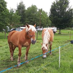 Camping La Cigale de l'Allier - Camping Lozere