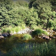 Camping La Cigale de l'Allier - Camping Lozere