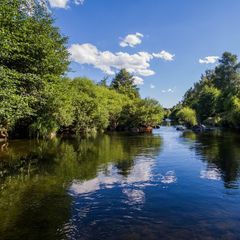 Camping La Cigale de l'Allier - Camping Lozere