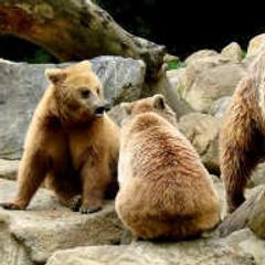 Camping Ecovillage Le Soleil Du Pibeste - Camping Hautes-Pyrenees