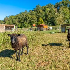 Camping Paradis Ombre des Tilleuls - Camping Hautes-Pyrenees