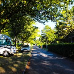 Camping Le Moulin Du Roy - Camping Haute-Garonne