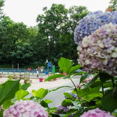 Camping Bela Basque - Camping Pyrenees-Atlantiques Camping Bela Basque - Camping Pyrenees-Atlantiques