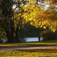 Camping Le Rupé - Camping Haute-Garonne
