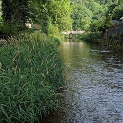 Camping Le Jardin - Camping Tarn