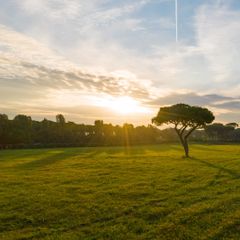 Camping Roma Capitol - Camping Rome