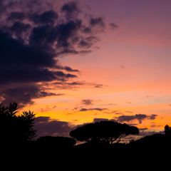 Camping Roma Capitol - Camping Rome