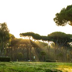 Camping Roma Capitol - Camping Rome