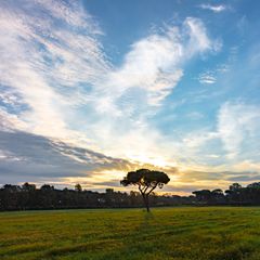 Camping Roma Capitol - Camping Rome