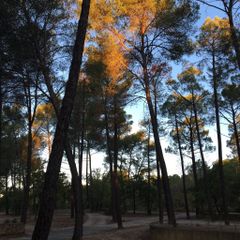 Camping Arc En Ciel - Camping Vaucluse