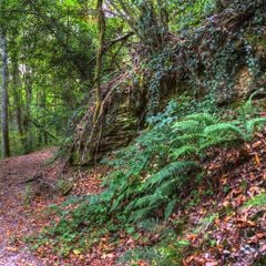 Camping La Bastide d'Albignac - Camping Tarn