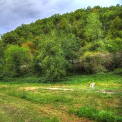 Camping La Bastide d'Albignac - Camping Tarn