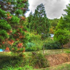 Camping La Bastide d'Albignac - Camping Tarn