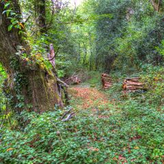 Camping La Bastide d'Albignac - Camping Tarn