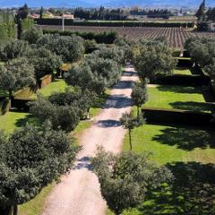 Camping Des Favards - Camping Vaucluse