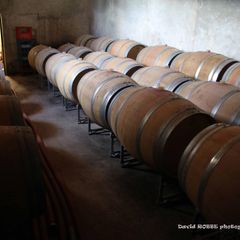 Camping Des Favards - Camping Vaucluse