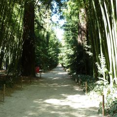 Camping Beau Rivage - Camping Gard Camping Beau Rivage - Camping Gard