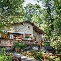 Camping & Village Montescudaio - Camping Pise