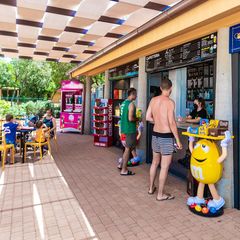 Camping & Village Montescudaio - Camping Pise