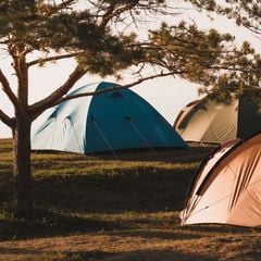 Camping Liberté Lacanau - Camping Gironda