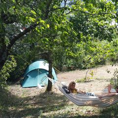 Aire Naturelle de Camping Les Cerisiers - Camping Loira