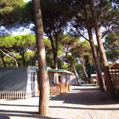 Rivaverde Camping Village - Camping Ravenne