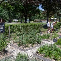 Camping Koawa  Les Gorges Du Chambon - Camping Charente