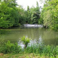 Camping Municipal Le Champion - Camping Charente