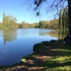 Domaine du Lambon - Camping Deux-Sevres