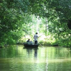 Domaine du Lambon - Camping Deux-Sevres