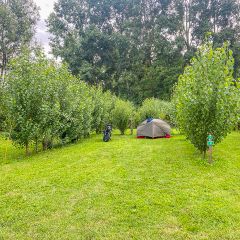 Camping Le Marais Sauvage - Camping Vandea