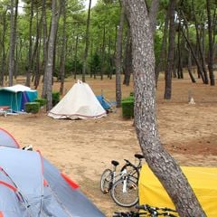 Camping La Grière - Camping Vandea