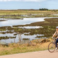 Camping La Belle Henriette - Camping Vendée