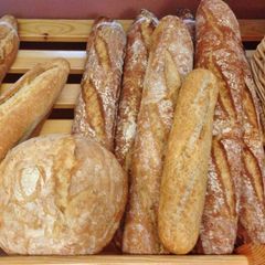 Camping Au Bord de Loire - Camping Maine-et-Loire