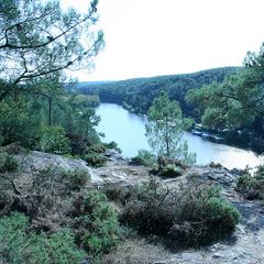 Camping de L'ile Aux Pies - Camping Ille-et-Vilaine