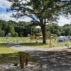 Camping de L'ile Aux Pies - Camping Ille-et-Vilaine