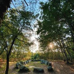 Camping Municipal de Paimpont Broceliande - Camping Ille-et-Vilaine