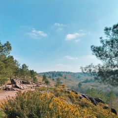 Camping Municipal de Paimpont Broceliande - Camping Ille-et-Vilaine